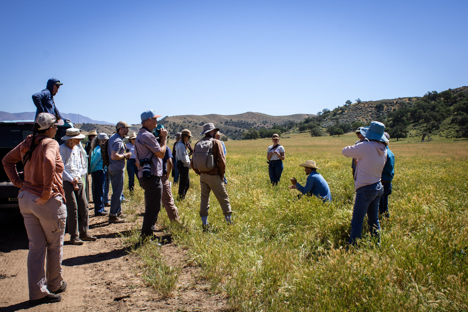 Audubon Birds for Prairie Workshop