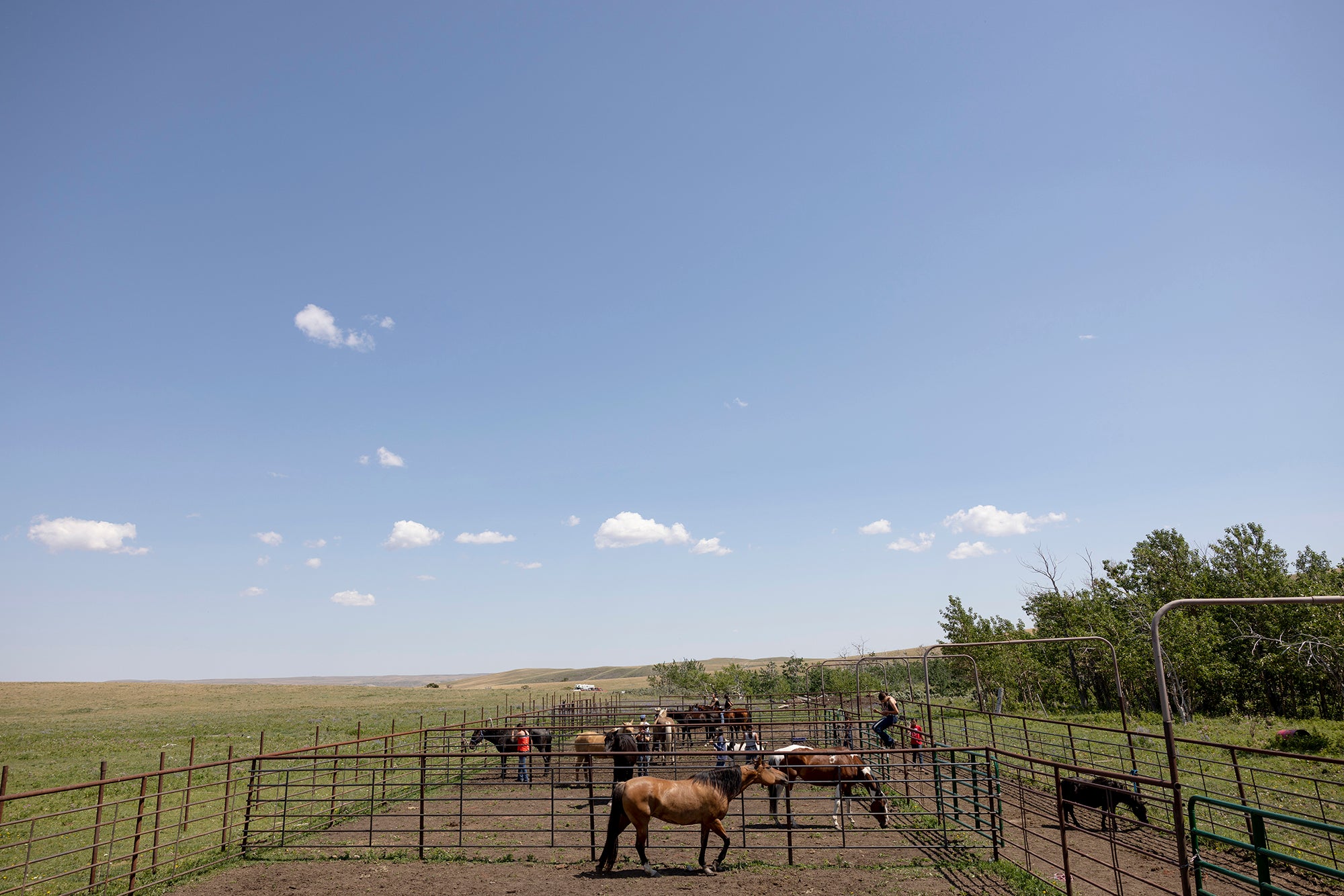 240709_Spiritofthehorse57.JPG